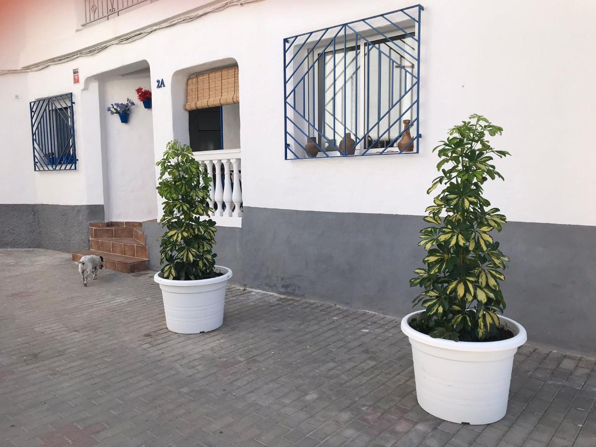 Apartamentos Lolitalola Holidays Salobrena Ngoại thất bức ảnh